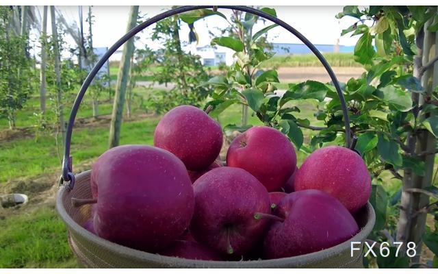 国信期货日评：油价短期维持震荡偏强，甲醇震荡上行