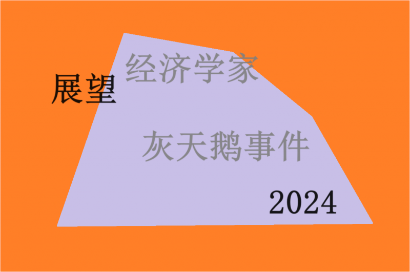 年终展望：知名经济学家预测2024年全球经济“灰天鹅&quot;