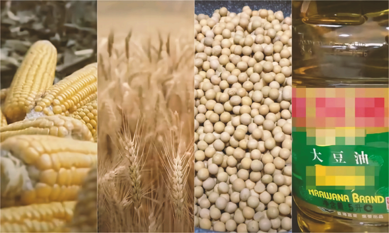 CBOT大豆、小麦、玉米期货技术分析
