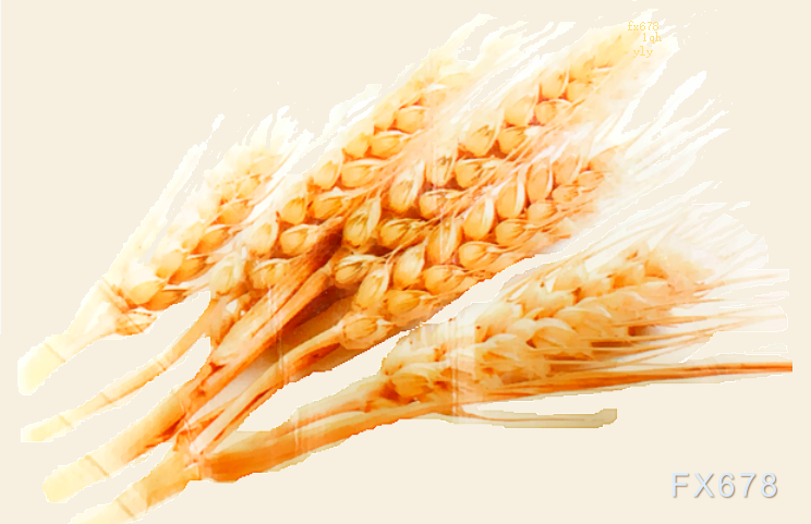 俄罗斯干旱天气担忧导致小麦价格坚挺