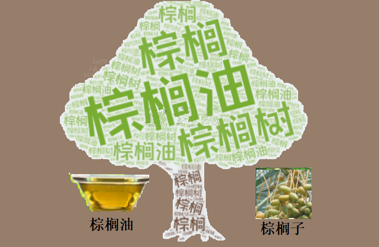 棕榈油价格波动！马来西亚出口下降与原油市场紧张局势，投资者如何把握机遇？