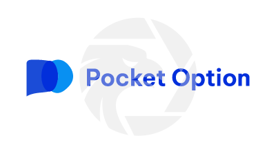 Pocket Option Guides Logo