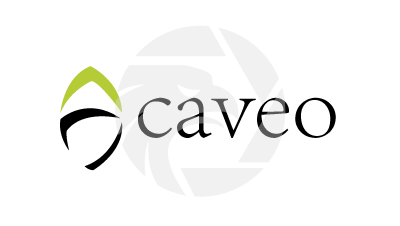 Caveo Logo