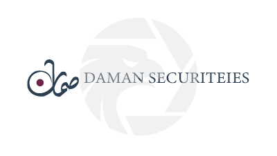 Daman Securities Logo