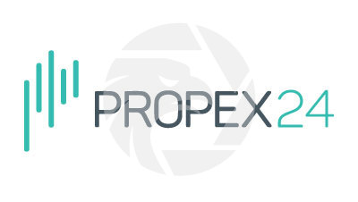 Propex24 Logo