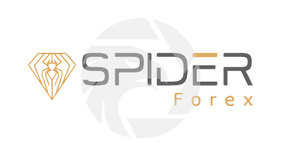 Spider Capital Investment Limited Logo