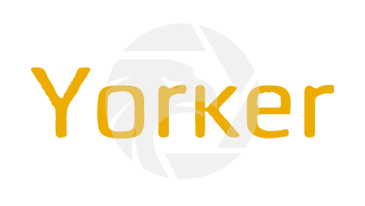 Forex Yorker Capital Markets Broker Review