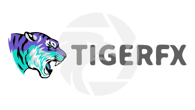 Minimum Deposit and Withdrawal at TigerFX Broker