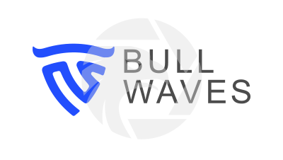 Bullwaves Logo