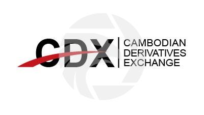CDX Logo