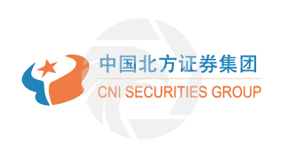 CNI Logo