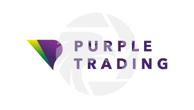 Purple Trading Logo