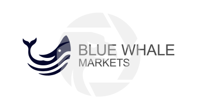 Blue Whale Markets Logo