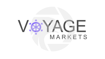 Voyage Markets Logo