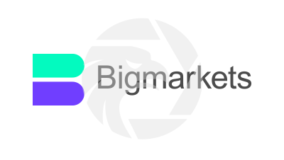 Bigmarkets Logo