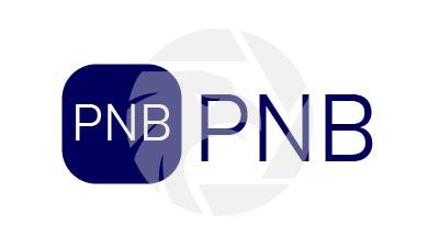 Forex PNB Broker Review Trading