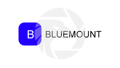 BLUEMOUNT Broker: How to Deposit and Withdrawal