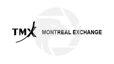 Forex TMX Trading Broker Review