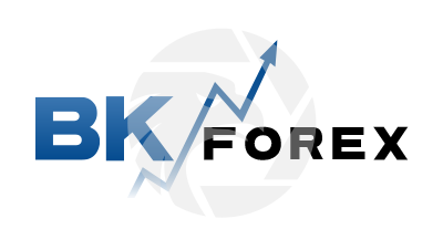 Forex BK Forex Broker Review